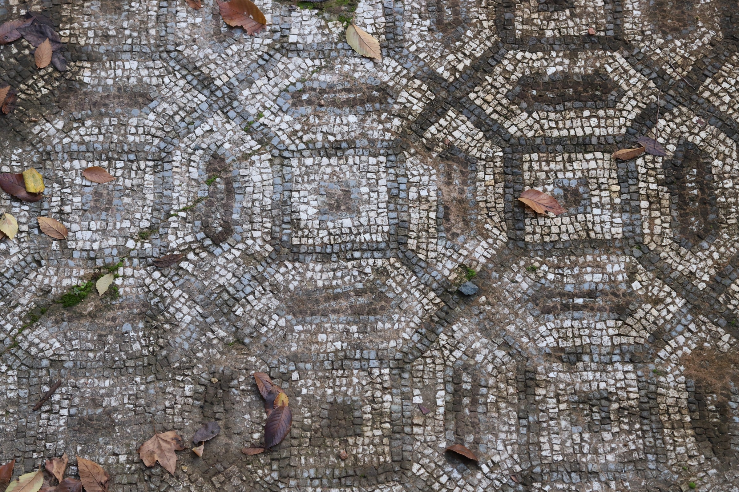 La valiosa villa romana que sale a subasta en Córdoba, en imágenes