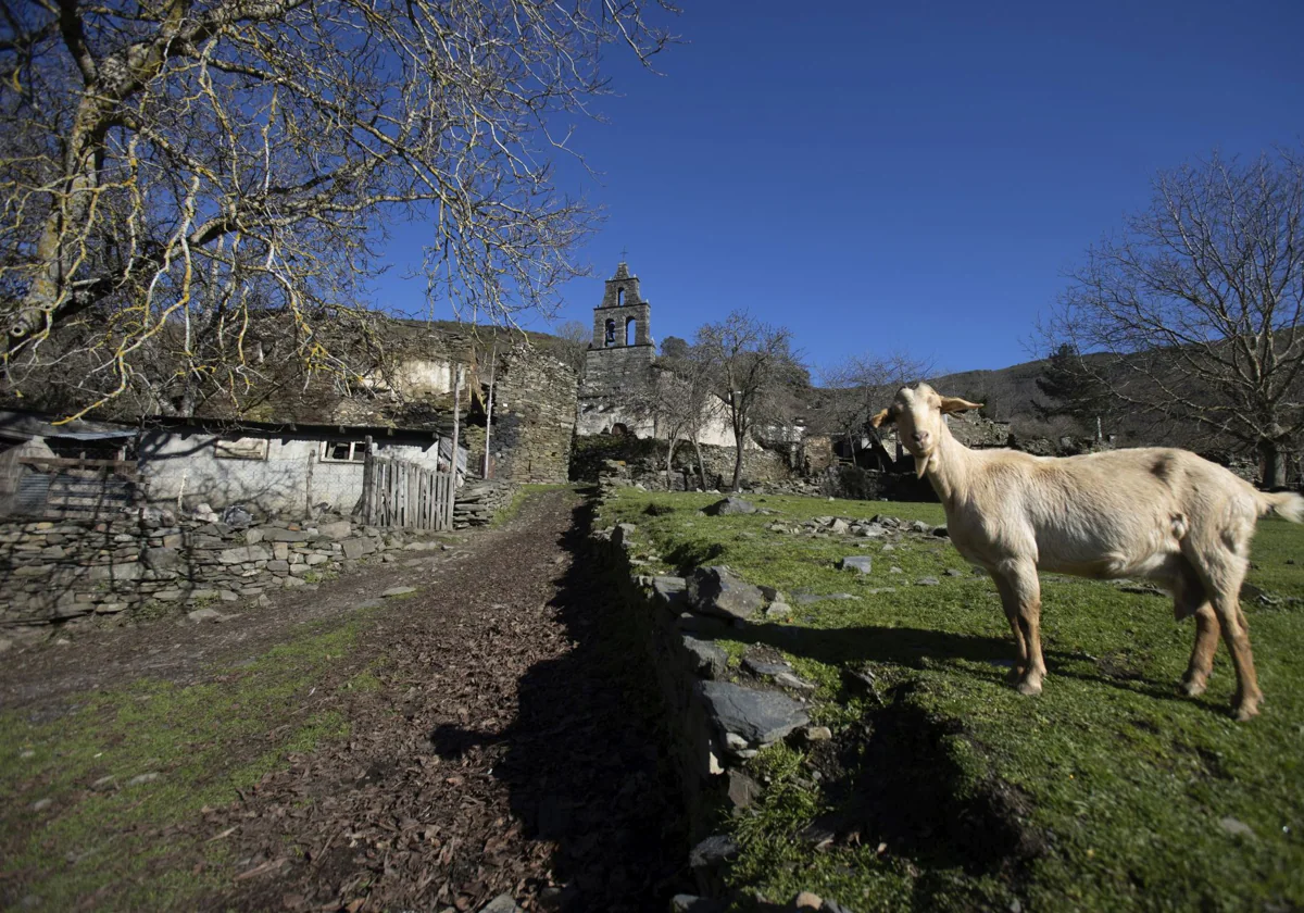 Imagen de una aldea orensana en la que solo vive una vecina