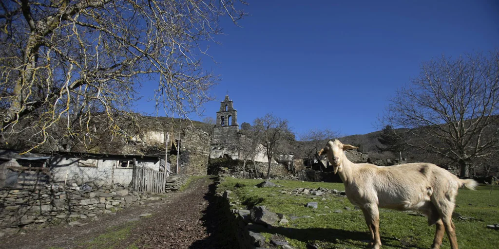 Un centenar de concellos gallegos están al borde de la desaparición