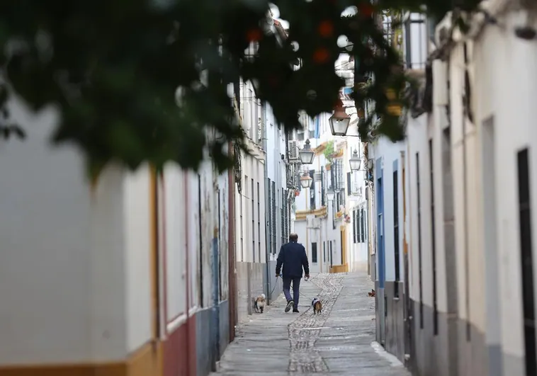 calle-casco-cordoba-kbVF-U7019930024xeF-758x531@diario_abc.jpg