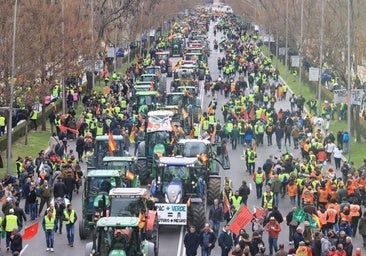 Más de 80 millones de euros en ayudas para 3.500 agricultores y ganaderos en Madrid durante este año