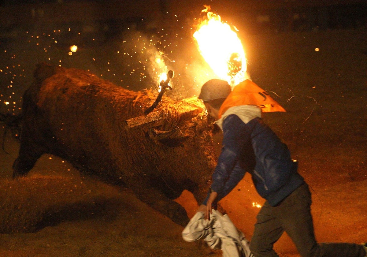 Celebración del tradicional Toro Jubilo en la localidad soriana de Medinaceli, en una imagen de archivo