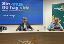 Los regantes de Doñana estallan: «Es el colmo de la hipocresía y del sinsentido que los agricultores sean los últimos en cobrar»