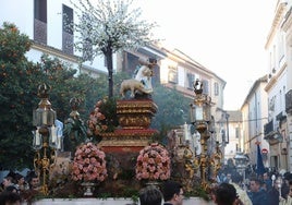 La procesión del Pastorcillo Divino, la última del año en Córdoba, en imágenes