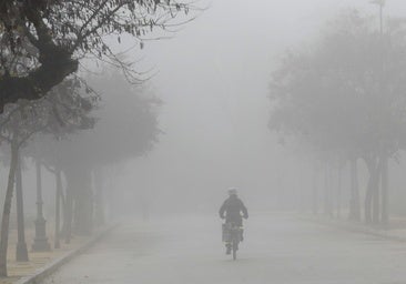 Aviso amarillo en Aragón por la espesa niebla y las temperaturas gélidas