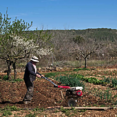 El paro baja en 11.501 personas en 2024 en Canarias, un 7,3%