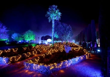 Letsgo anuncia que el espectáculo del Alcázar reabrirá en mayo y retomará las mejoras el 10 de febrero