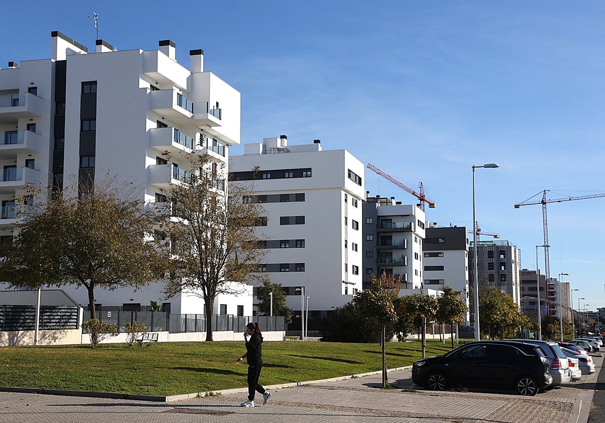 Bloques de vivienda nueva en el sector de Huerta Sana Isabel en Córdoba