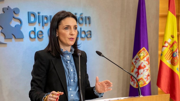 La Diputación de Córdoba se reserva 5 millones de euros para la rehabilitación de los Colegios Provinciales