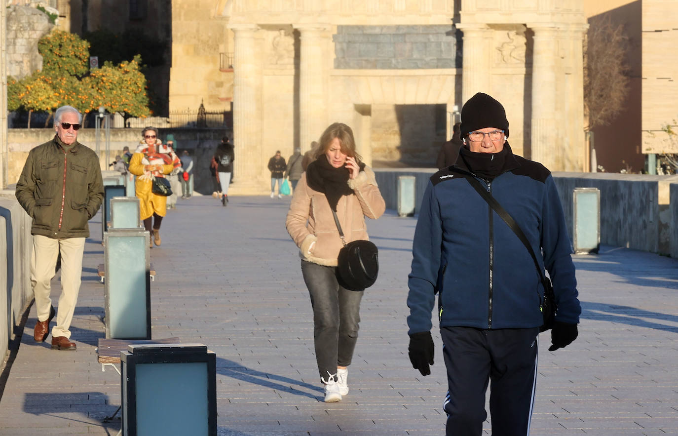 El frío extremo se cuela en las calles de Córdoba, en imágenes