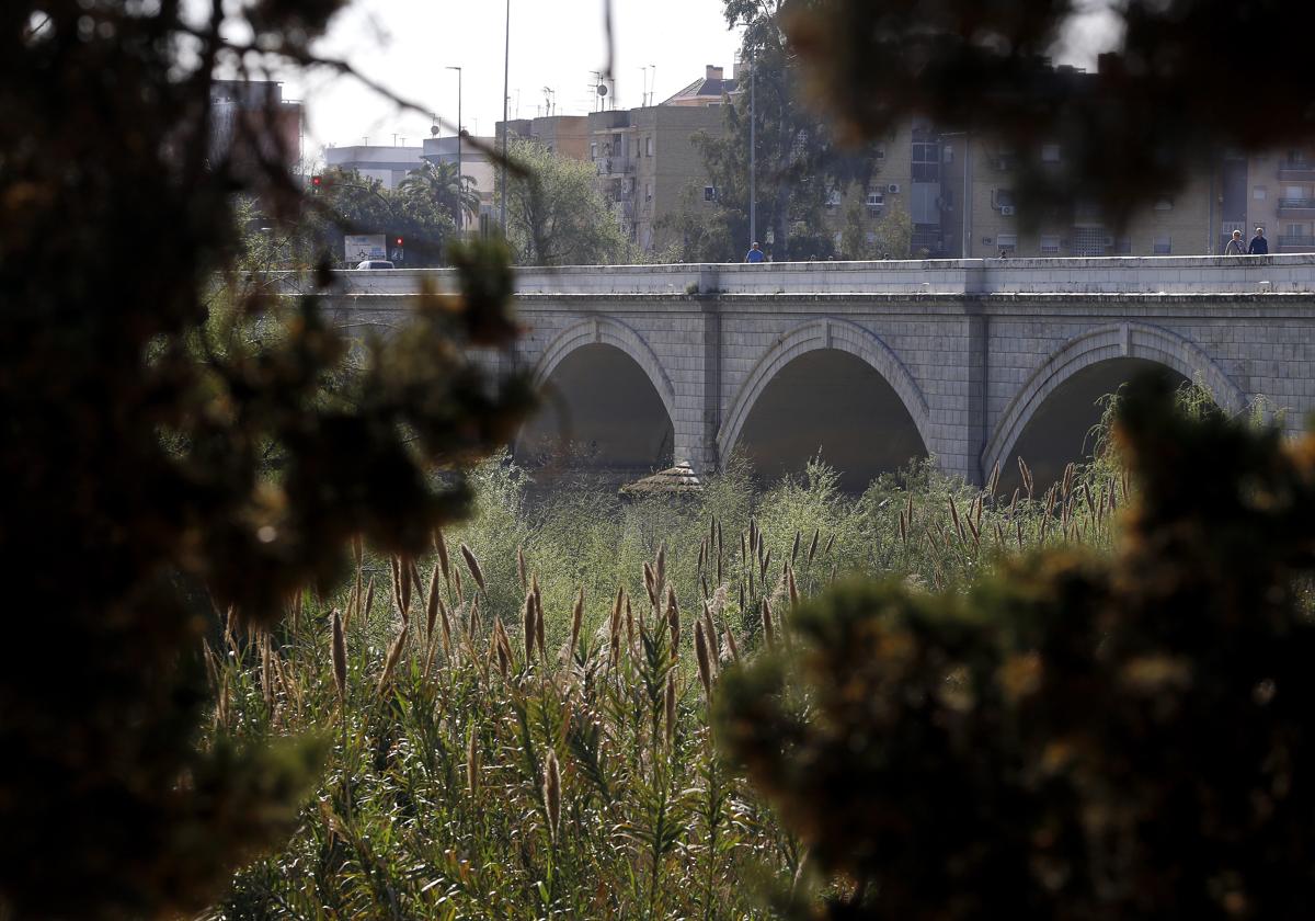 Imagen del puente de San Rafael