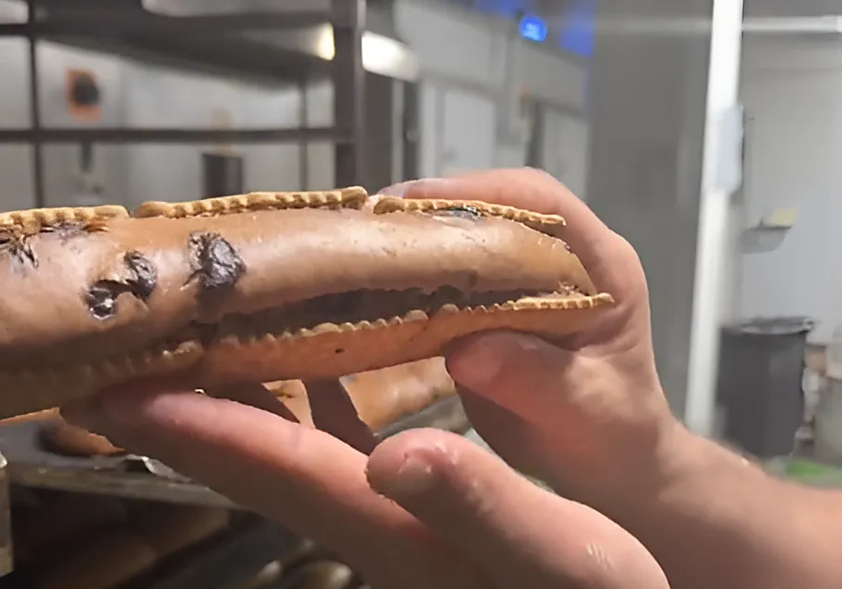 Pan de chocolate con galletas de Córdoba