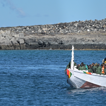 Mueren cincuenta personas que intentaban llegar en cayuco a Canarias