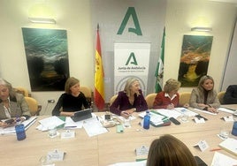 El SAS llama a los mayores a vacunarse de la gripe ante el previsible aumento de casos en Andalucía