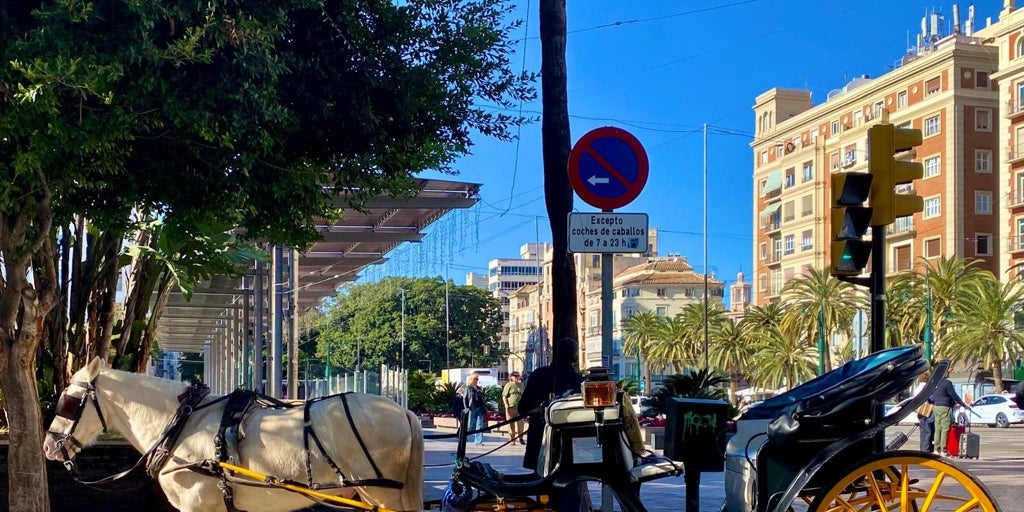 Adiós a los coches de caballos en Málaga: «Me voy de aquí con una mano delante y otra detrás»