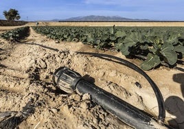 La Diputación de Alicante moviliza doce millones para infraestructuras hidráulicas y la digitalización del ciclo integral del agua