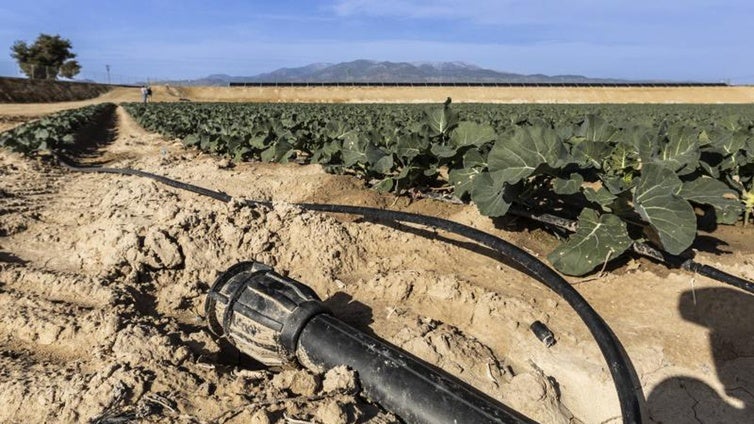 La Diputación de Alicante moviliza doce millones para infraestructuras hidráulicas y la digitalización del ciclo integral del agua