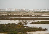 La Aemet eleva a alerta naranja los avisos por lluvias y tormentas: estas son las zonas afectadas en Huelva y Sevilla