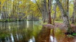 Se publica la sentencia del TSJCM que anula el Plan de Ordenación de los Recursos Naturales de la Sierra Norte