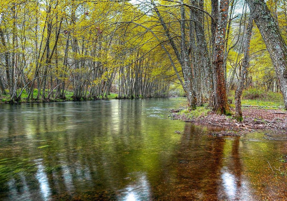 El río Sorbe a su paso por Muriel, una pedanía de Tamajón, uno de los puntos de la Sierra Norte de Guadalajara