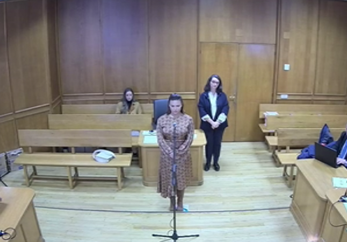 Elisa Mouliaá, en su declaración ante el juez