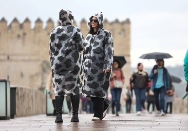 El paso por Córdoba de la borrasca Garoé, en imágenes