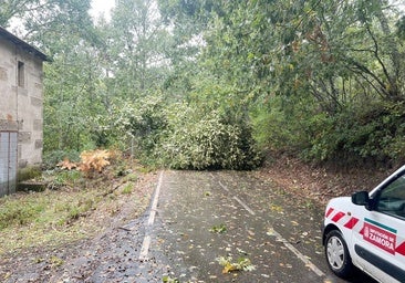 Alerta por vientos en Castilla y León, con rachas de hasta 100 kilómetros por hora
