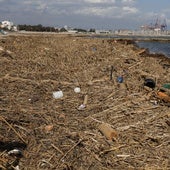 El Ayuntamiento de Valencia exigirá 800.000 euros al Gobierno por limpiar las playas tras la dana