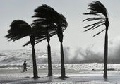 El paso de la borrasca Herminia dejará este lunes fuertes rachas de viento en gran parte de Andalucía