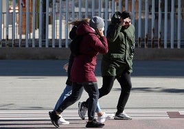 El viento de la borrasca Herminia provoca casi 200 incidencias en Andalucía