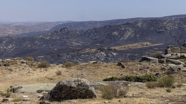 Rebaños antiincendios para salvaguardar siglos de historia