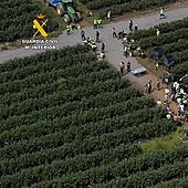 Investigadas tres personas por la contratación de 82 inmigrantes irregulares en una explotación agrícola en Lugo