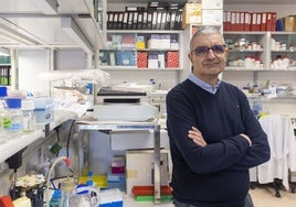 El director del Centro de Investigación del Cáncer insta a la responsable del CNIO a abandonar el cargo