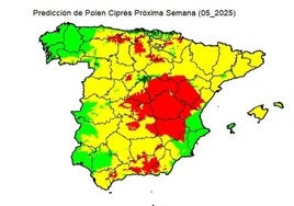 La alergia al polen regresa a Córdoba: el mapa interactivo para conocer cuándo empieza