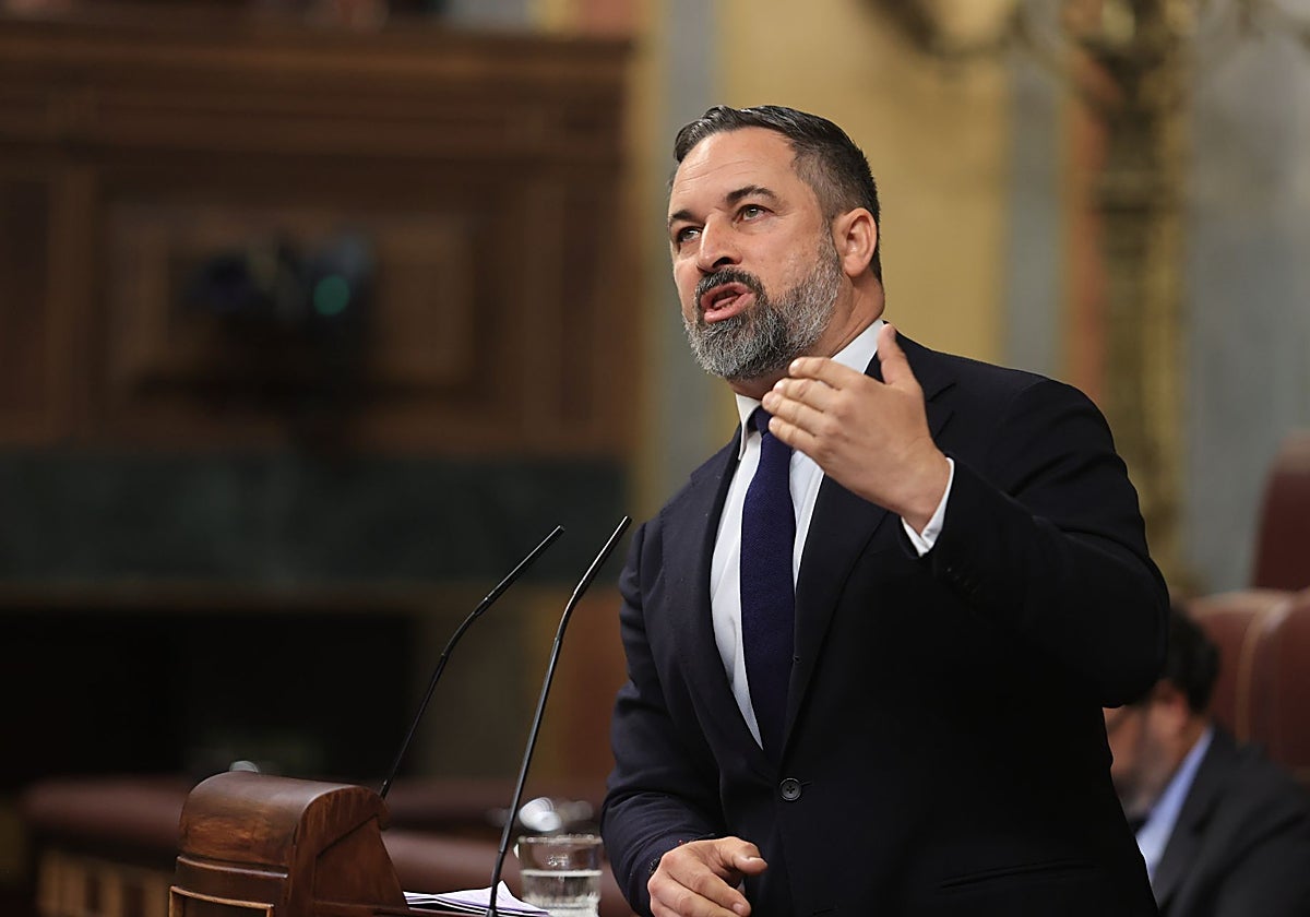 El presidente de Vox, Santiago Abascal, en la tribuna del Congreso