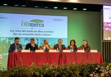 La resiliencia del aceite de oliva: llegó a multiplicar por tres su precio, pero sólo bajó un 30% su consumo