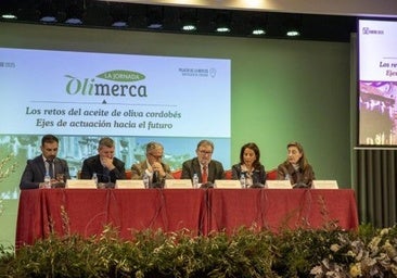 La resiliencia del aceite de oliva: llegó a multiplicar por tres su precio, pero sólo bajó un 30% su consumo