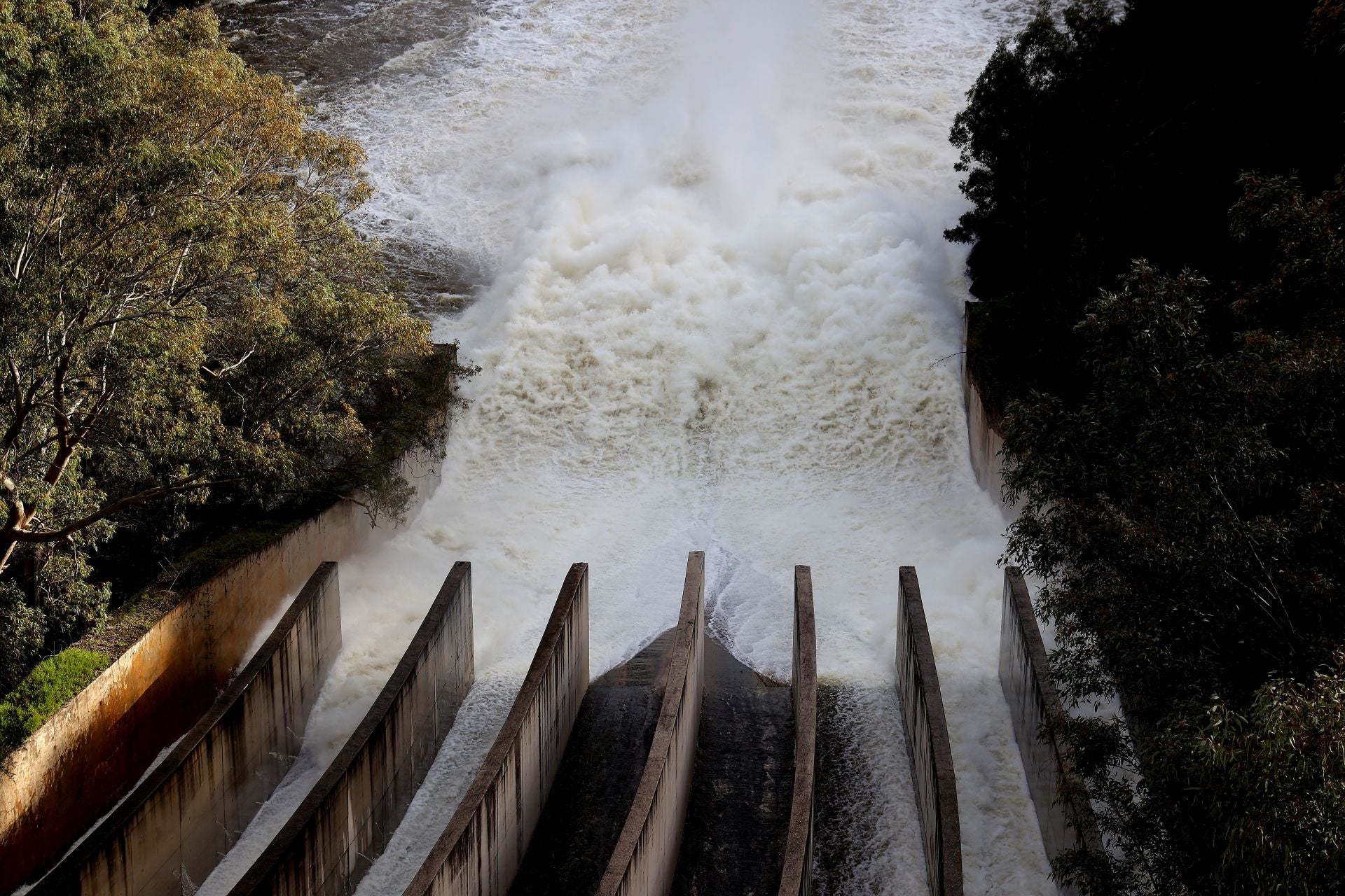 El espectacular desembalse del pantano del Guadalmellato, en imágenes