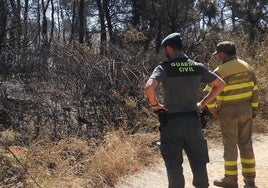 Un investigado por el incendio de Trabazos (Zamora) que calcinó 256 hectáreas el verano pasado