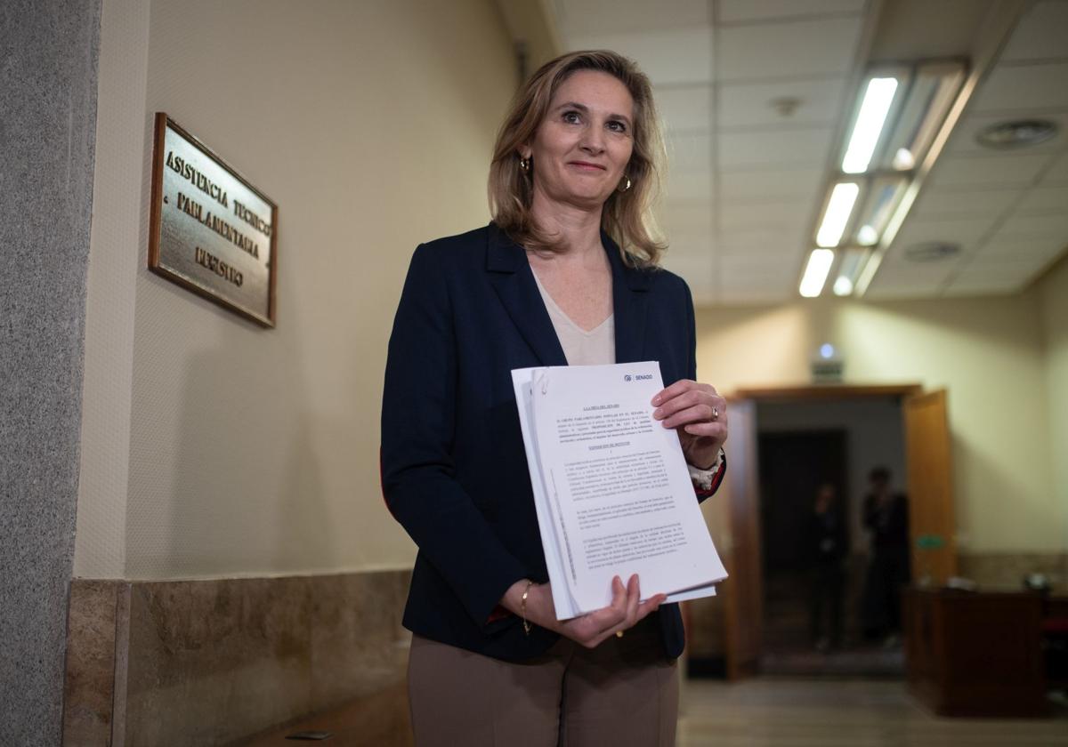 Paloma Martín, vicesecretaria de Desarollo Sostenible del PP, en el registro del Senado con la nueva ley
