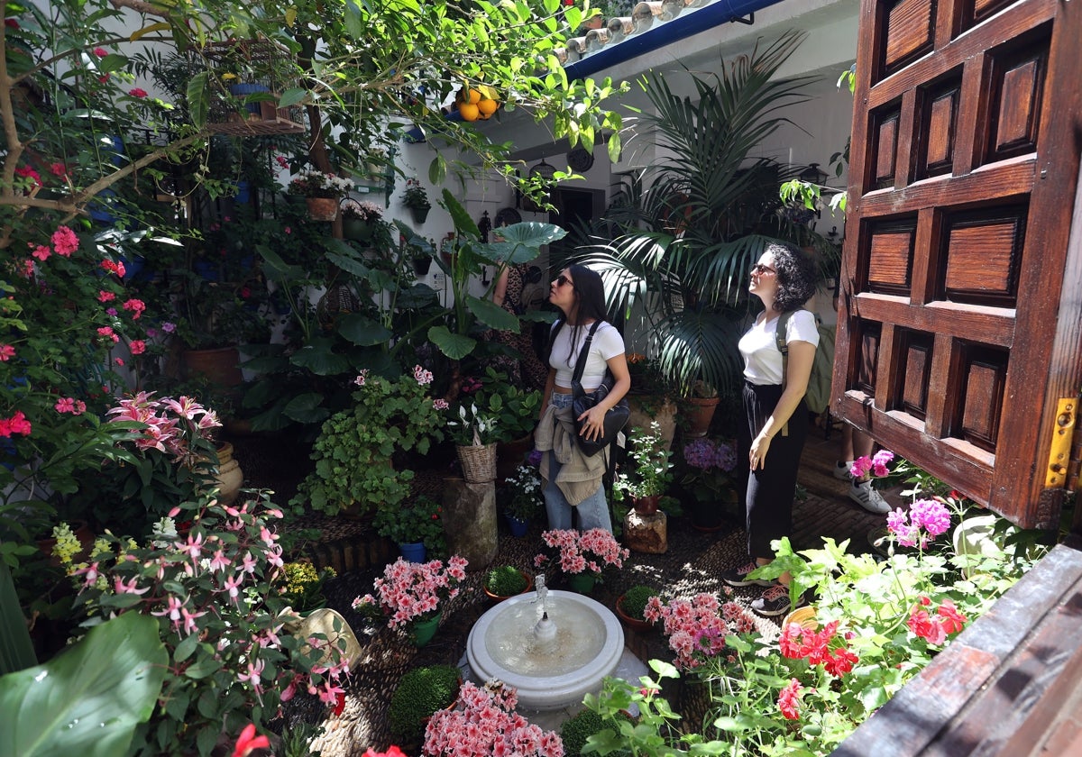Dos jóvenes en el interior de un patio cordobés