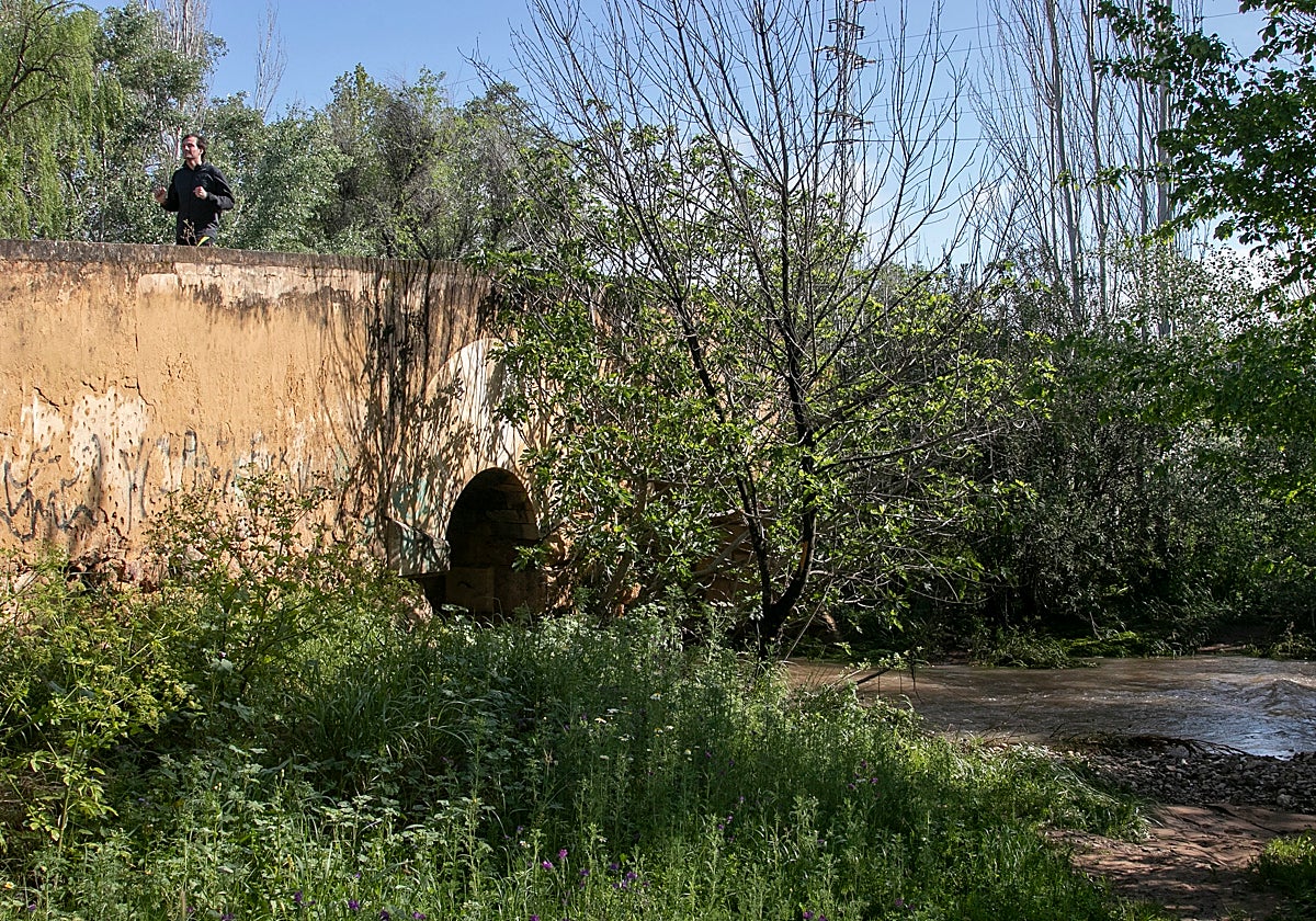 Un hombre trota sobre un puente del cauce del arroyo Pedroche en Córdoba capital