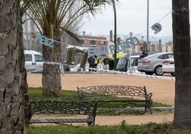 Asesinato de un joven de 16 años en Córdoba: así fueron los trágicos hechos en El Arenal