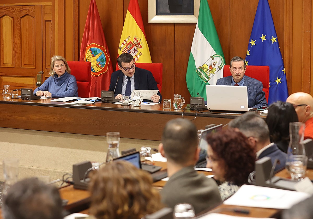 José María Bellido preside un Pleno municipal