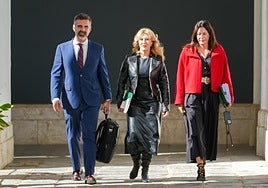 Andalucía aprueba una estrategia de apoyo al olivar ante la incertidumbre de los aranceles de EEUU