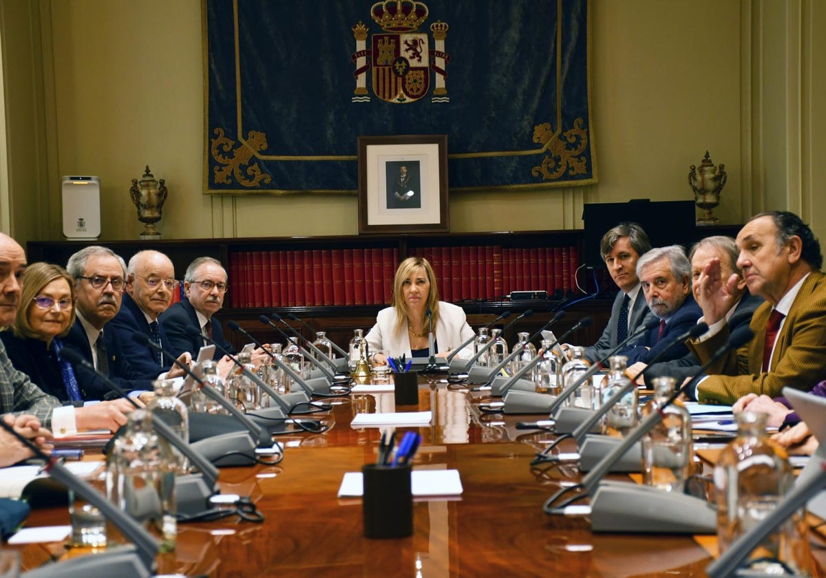 Perelló preside el Pleno extraordinario del CGPJ celebrado este miércoles