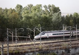 El jurado declara no culpable al acusado por el atropello mortal del tren a una joven en El Higuerón