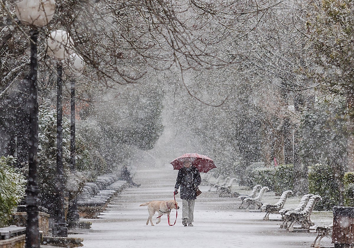 Primera nevada del año en la capital soriana