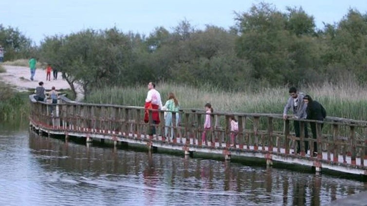 El alcalde de Daimiel se queja ante la ministra de Transición Ecológica del estado del Parque Nacional de las Tablas