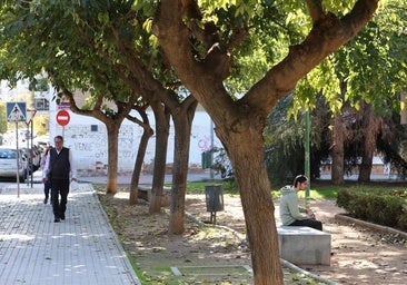 Cuatro ladrones atracan y dan una paliza a un hombre en plena calle en Córdoba